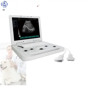 Ecografo portátil escáner de ultrasonido barato Ecograph Echo portátil 3D color máquina de ultrasonido médico