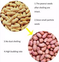 Machine à décortiquer les cacahuètes automatique rentable, batteuse d'arachides pour le traitement des moulins à farine et le décorticage des fèves de cacao