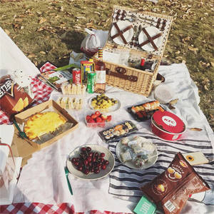 Cesta <span class=keywords><strong>Wilow</strong></span> para Picnic, cestas pequeñas Rts de juguete para niñas, 4 con manta, platos de mimbre, cesto plegable, Comida, Estilo maleta de plástico - Product Image 5
