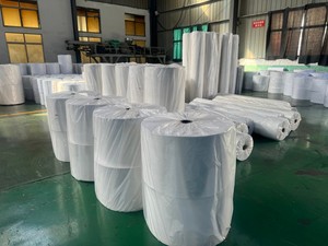 Géotextile en PP Spunbond Écologique et Biodégradable pour l'Agriculture – Tissu Non-Tissé en PP pour Couverture de Plantes - Product Image 3