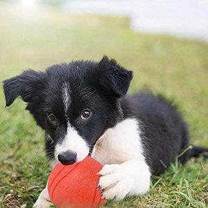 Meilleure Vente - Ballon pour Chien Indétructible en Caoutchouc TPR Robuste et Durable, Couleurs Variées, Luxe Moyen, Très Fiable, pour Mâcher ZC-241024-47 - Product Image 6
