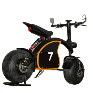 Factory Direct 60v 1500w 45-50 km/h New Style High Speed Electric Golf Scooter Hot Selling Sport Bike Chopper E- Motorcycle