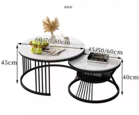 Ensemble de table basse ronde 2 en 1, table à thé multifonctionnelle créative avec cadre doré pour salon, chambre à coucher, bureau, cadre doré + blanc