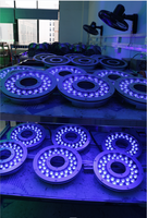 Lumières de piscine sous-marine submersible Dmx en acier inoxydable 316L étanche IP68 pour fontaines Landcsape