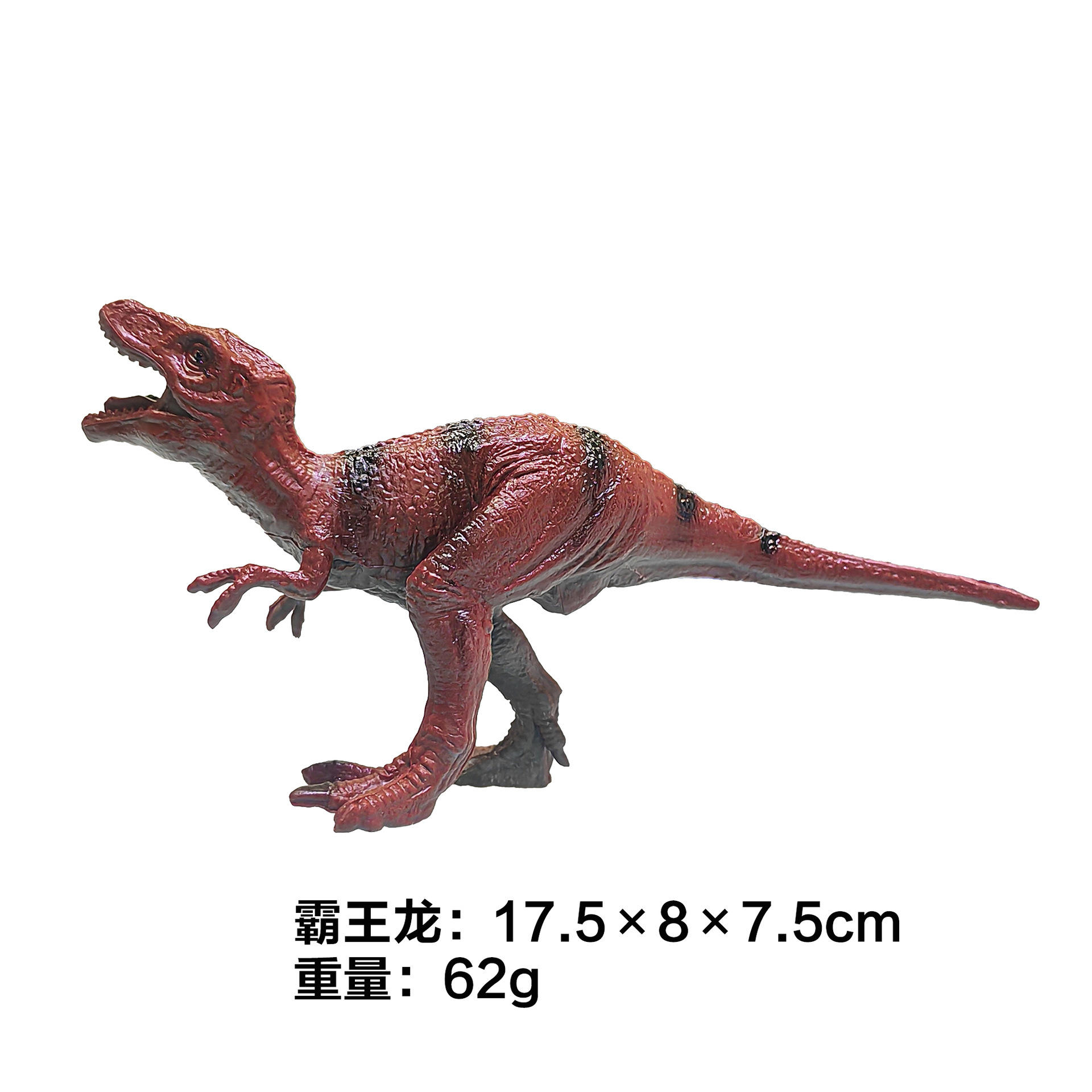 Version simplifiée de Tyrannosaurus Rex de 7 pouces