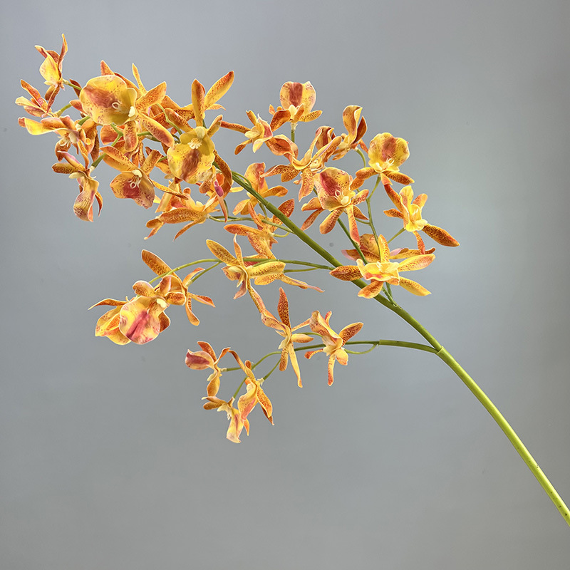 สีเหลือง