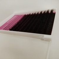 Faux Cils en Touffes Individuelles Étiquette Privée Personnalisée DIY Cils Effet Volume avec Bases