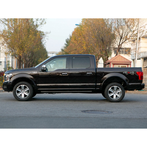 2020 <span class=keywords><strong>Ford</strong></span> F-150 platino di lusso pick-up 5.0L V8 <span class=keywords><strong>4x4</strong></span> cabina equipaggio con interni in pelle - Product Image 2