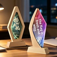 Trophée en cristal lumineux personnalisable avec base en bois de hêtre pour événements de remise de prix, champions, employés exceptionnels, récompenses sportives annuelles