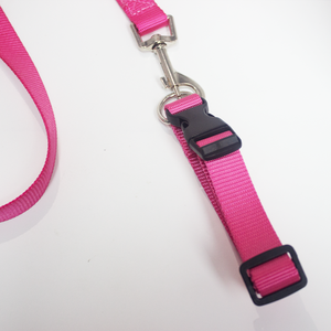 उच्च गुणवत्ता वाले नायलॉन ग्रीष्मकालीन प्रशिक्षण सेट टिकाऊ निजी लेबल कुत्ते पट्टा और कॉलर नरम फैशनेबल पालतू उत्पाद - Product Image 4