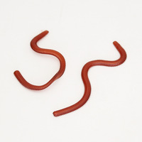 Appât de pêche souple en plastique, ver de terre rouge, simulation bionique, ver de terre, 20g/3cm, larves