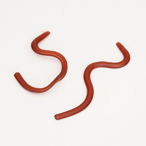 Señuelo de Pesca de Gusano de Tierra Rojo Biónico de Simulación, 20g/3cm, Gusano de Plástico, Cebo Suave - Product Image 5