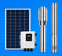 Pompe à eau solaire en acier inoxydable 4PSS-H / 6PSS-H de 4 pouces et 6 pouces, hybride AC/DC, submersible pour puits profond, pour l'irrigation