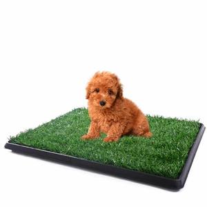 Hanwei – gazon artificiel pour chiots, tapis pour chiens, intérieur et extérieur, chiens chinois, animaux de compagnie, gazon artificiel pour enfants - Product Image 5