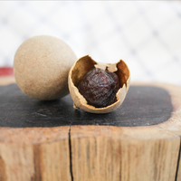 Fruits de dragon séchés entiers avec coquille, collation naturelle de fruits séchés asiatiques