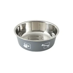 Luxury Designer Stainless Steel Color Spray Paint Dog Bowl Pet Bowl Water Feeder Pets Non-Slip Multi-Color Eco Friendly in stock