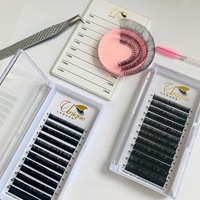Extensions de cils inférieurs, cils synthétiques faits à la main, individuels, sans cruauté, naturels, longs, courbure B, 25 mm, en PBT, effet cachemire