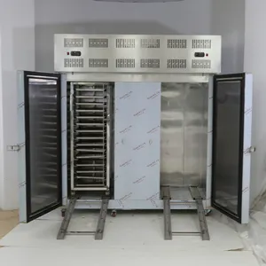 Nice two door deep freezer price -60 degree reach-in blast freezer contact plate freezer for fish