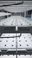 Reinfa Farmhydro : Système hydroponique NFT à haut rendement pour les légumes-feuilles