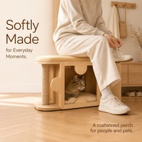 Meuble multifonctionnel pour chat d'intérieur, banc en bois, niche pour chat avec siège rembourré doux pour le couloir