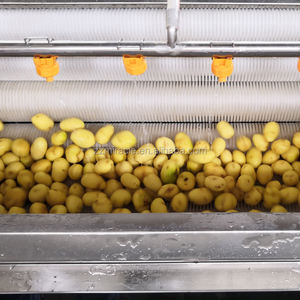 Máquina <span class=keywords><strong>de</strong></span> lavado y pelado <span class=keywords><strong>de</strong></span> cepillos <span class=keywords><strong>de</strong></span> <span class=keywords><strong>patatas</strong></span> en la línea <span class=keywords><strong>de</strong></span> producción <span class=keywords><strong>de</strong></span> máquinas <span class=keywords><strong>de</strong></span> envasado <span class=keywords><strong>de</strong></span> verduras - Product Image 5