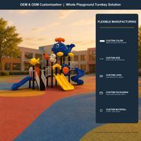 Structure de jeu commerciale SageDelightRides avec garde-corps anti-corrosion pour zones côtières, en LLDPE et acier galvanisé, pour enfants, pour parcs et places publiques, fabricant