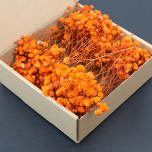 Fleurs de Gypsophile Séchées et Préservées en Boîte, 50 Pièces, Gypsophile Naturelle, Boîte Cadeau, Longue Durée (3-5 Ans) - Product Image 4