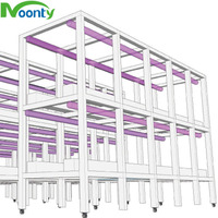 Serres agricoles Système hydroponique Conteneur Fermes verticales Agriculture Système hydroponique NFT pour laitue/Verts