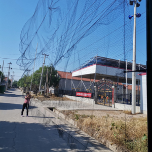 Rede Para pegar passaros invisiveu, <span class=keywords><strong>nylon</strong></span> chống chim net với lỗ lưới nhỏ để bắt chim, sương mù Net - Product Image 1