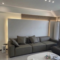 Panneau décoratif intérieur de luxe en placage de bois de bambou, fibre de bois, cristal de carbone, surface miroir haute brillance
