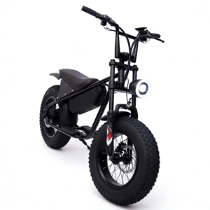 Vélo électrique à bas prix très vendu en 2025, moto électrique de motocross 1000W haute puissance pour les courses de motocross et les loisirs tout-terrain - Product Image 3