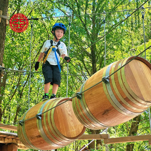 Aérienne Forêt Aventure Treetop Trekking Corde Course Expansion Série Jungle Aventure Escalade Aire De Jeux Équipement - Product Image 4