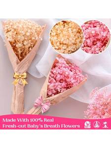 Ramo de Flores Secas de Gypsophila - 16 Pulgadas, 2800+ Flores Secas Blancas y Rosas, Ramas Naturales de Gypsophila para Bodas, <span class=keywords><strong>Jarrones</strong></span> de Mesa - Product Image 6