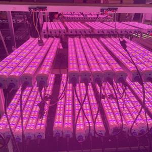 150W IP66 tán dẫn dải ánh sáng HR UV FR ppe3.0 đứng CE ukca ISO beci cấp giấy chứng nhận nở IP65 phát triển cáp ánh sáng riêng biệt - Product Image 1