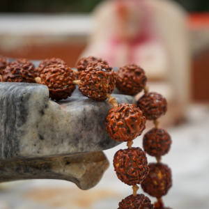 ชุดลูกปัดไม้5เม็ดมูชิรุทรักษะมาลา - Product Image 3