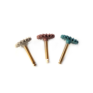 Kit de roues de polissage en résine <span class=keywords><strong>composite</strong></span> dentaire polisseuse diamantée à dents flexibles en spirale RA Burs - Product Image 4