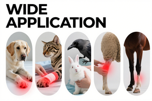 Équipement de thérapie laser de classe 4 pour soulager la douleur chez le chien, le cheval et le chat, utilisation médicale, 810 nm 980 nm pour les blessures aiguës - Product Image 6