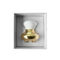 Masseur facial en métal doré avec logo personnalisé Spa Body Relaxant Face Lift Tool 304 Stainless Steel Mushroom Guasha Scraping