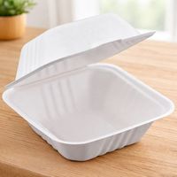 ProTakeOut [6 X 6] Contenants à charnière en bagasse à 1 compartiment, lot de 500 (125/4), sans PFAS, blancs, compostables, avec couvercle compatible micro-ondes, 32 oz