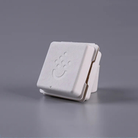 Eco Friendly Bio-degradableMolded Pulp Packaging Biodegradable Bagasse Pulp Molded Paper Box Dry Pressing Pulp Molded Soap Box