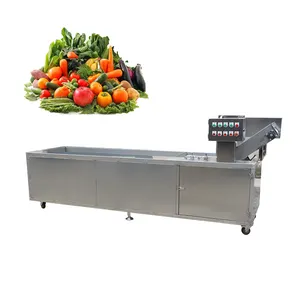 Taze sebze ve meyve mango ve elma çamaşır makinesi hava kabarcığı sebze yıkama makinesi hava kabarcığı ozon çamaşır makinesi
