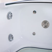 Baignoire de spa pour animaux de compagnie autoportante transparente avec baignoire pour chien Ozone Spa Machine de massage Caractéristique de bulle d'air pour le nettoyage des animaux de compagnie