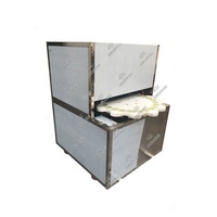 Puistmachine Voor Industrieel Fruit, Piping, Machine Voor Olijfkernputjes