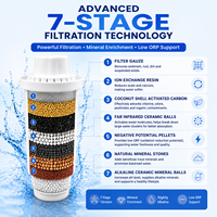 Filter Air WP6. Filter Pengganti Standar untuk Pitcher. Bebas BPA