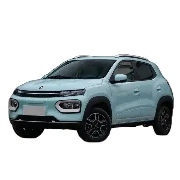 CT-NEV Dongfeng Nami Box veicolo elettrico Dongfeng Nano Box 4 ruote auto elettrica per adulti SUV Mini Ev Car