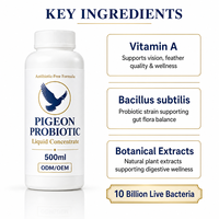 Additif Probiotique Liquide Concentré 500ml pour l'Eau Potable des Pigeons – Soin Quotidien Personnalisé pour l'Hygiène Intestinale des Pigeons de Course, d'Élevage et de Compétition