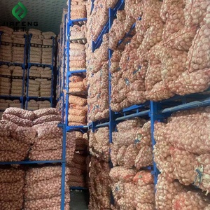 Trung Quốc Bán Buôn Giá Hành Tây Và Tỏi Rau Tươi Trong 20Kg Lưới Túi/Thùng Carton Nhà Máy Giá Tươi Tỏi Trắng - Product Image 6