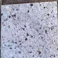 Dalles et Plaques de Granit Poli Blanc Galaxie Naturel en Promotion pour Revêtements de Sol et Plans de Travail de Villas Modernes