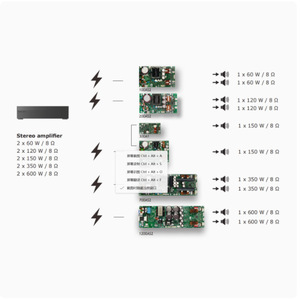 โมดูลเครื่องขยายเสียง300AS1 icepower Class D โมดูลโมโน HIFI Audio-Original icepower จาก Denmark - Product Image 2