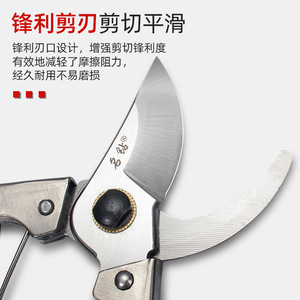Lu Ban's Work Pruning Shears Stainless Steel 20-30 Mm Butterfly Handle For Branches Cutting - Product Image 4
